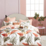 Постельное белье двухстороннее из твила в ПВХ TANGO парадис 50х70 (2шт) евро