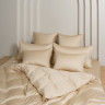 Постельное белье GERMAN GRASS VANILLA BRILLIANT GRASS 70х70 (2шт) 1,5-спальное