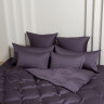 Постельное белье с простыней на резинке 160х200 GERMAN GRASS VIOLET BRILLIANT GRASS 70х70 (2шт) евро
