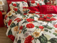Постельное белье из египетского хлопка TANGO TIS-891 50х70 (1шт), 70х70 (1шт) 1,5-спальное