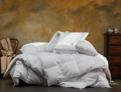 Одеяло пуховое GERMAN GRASS Princess Down Grass всесезонное 200х220
