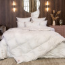 Одеяло кассетное GERMAN GRASS SILVER DOWN GRASS 200х200 всесезонное