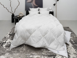 Одеяло стеганое GERMAN GRASS PRIME DOWN GRASS 220х240 всесезонное