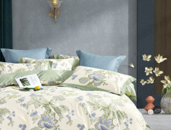 Постельное белье из сатина ASABELLA 2027-6 50х70 (2шт) и 70х70 (2шт) евро