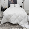 Одеяло стеганое GERMAN GRASS PRIME DOWN GRASS 140х205 всесезонное