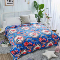 Плед из микрофибры TANGO ФЛАНЕЛЬ VAR-384 150х200