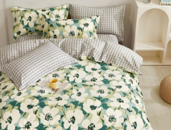 Постельное белье из твила TANGO TPIG-1838 50х70 (2шт), 70х70 (2шт) евро
