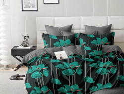Постельное белье из микросатина TANGO шималле 70х70 (2шт) 2-спальное