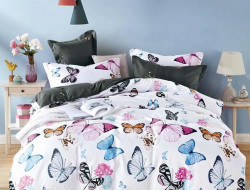 Постельное белье из микросатина TANGO DREAM FLY DF-334-70 70х70 (2шт) семейное