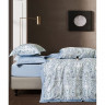 Постельное белье из тенсела люкс ASABELLA 2160-6 50х70 (2шт) и 70х70 (2шт) евро