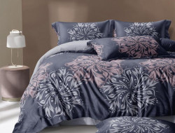 Постельное белье из сатина АЛЬВИТЕК CA-7-709 50х70 (2шт), 70х70 (2шт) семейное