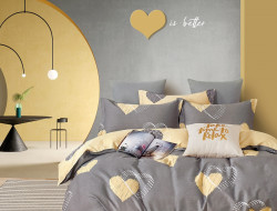 Постельное белье из твил-сатина в ПВХ TANGO ловер 50х70 (2шт) евро