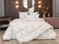 Одеяло пуховое кассетное GERMAN GRASS SILVER DOWN GRASS всесезонное Light 200х220