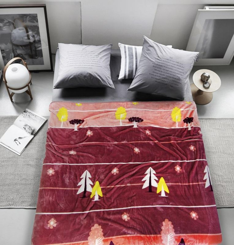 Плед из микрофибры TANGO ФЛАНЕЛЬ VAR-343 200х220