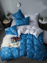 Постельное белье из микросатина TANGO DREAM FLY DF-288-50 50х70 (2шт) 2-спальное