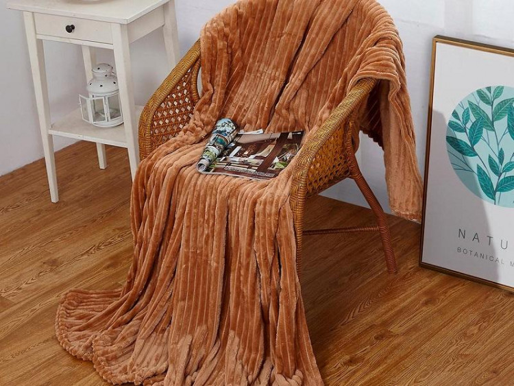 Плед из велсофта АЛЬВИТЕК SOFT PLUSH ORRIZONTE 010 200х220