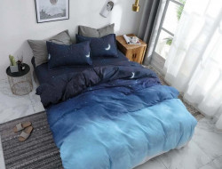 Постельное белье из микросатина TANGO DREAM FLY DF-331 50х70 (2шт) евро