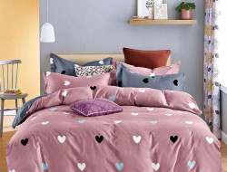 Постельное белье из микросатина TANGO DF-463-50 DREAM FLY 50х70 (2шт) семейное