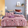 Постельное белье из микросатина TANGO DF-463-50 DREAM FLY 50х70 (2шт) семейное