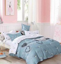 Постельное белье из микросатина TANGO DREAM FLY DF-425-70 70х70 (2шт) семейное