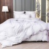 Одеяло кассетное GERMAN GRASS WHITE FAMILIE DOWN 160х220 всесезонное