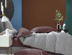 Постельное белье из сатина TANGO TS01-X255 50х70 (1шт) и 70х70 (1шт) 1,5-спальное