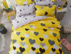 Постельное белье из микросатина TANGO DREAM FLY DF-115-70 70х70 (2шт) семейное