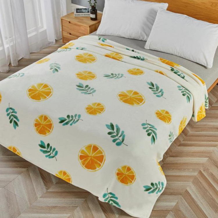 Плед из микрофибры TANGO ФЛАНЕЛЬ 3014-450 200х220