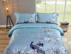 Постельное белье из египетского хлопка TANGO TIS-800 50х70 (2шт), 70х70 (2шт) семейное