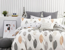 Постельное белье двухстороннее из твила TANGO TPIG-915 50х70 (2шт), 70х70 (2шт) евро
