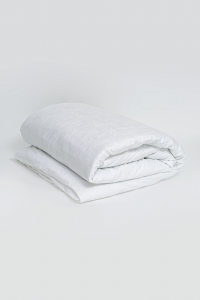 Пододеяльник GERMAN GRASS PAISLEY PALETTE GRASS 150х200