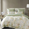 Постельное белье фланелевое из тенсела ASABELLA Весенняя нега 50х70 (2шт), 70х70 (2шт) семейное