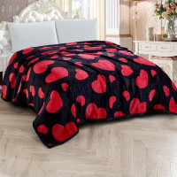 Плед из микрофибры TANGO ФЛАНЕЛЬ 3014-568 200х220