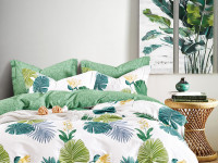 Постельное белье из твил-сатина TANGO ферна 50х70 (2шт) 1,5-спальное