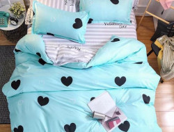 Постельное белье из микросатина TANGO DREAM FLY DF-64 50х70 (2шт) евро