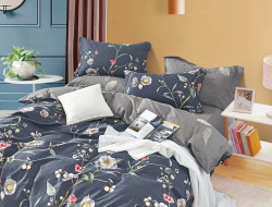 Постельное белье двухстороннее из твила в ПВХ TANGO TPIG-233 50х70 (2шт) евро