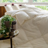 Одеяло кассетное GERMAN GRASS ORGANIC DOWN GRASS 240х260 всесезонное