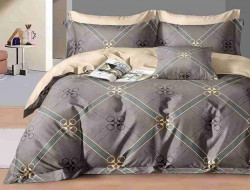 Постельное белье из сатина АЛЬВИТЕК CA-7-731 50х70 (2шт), 70х70 (2шт) семейное