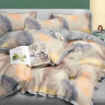 Постельное белье из сатина АЛЬВИТЕК перья семейное