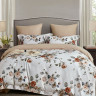 Постельное белье из фланели ASABELLA Розы Ренуара 50х70 (2шт) и 70х70 (2шт) евро